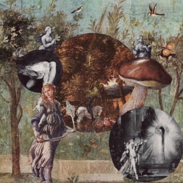 Old kind of magic NATIVE HARROW