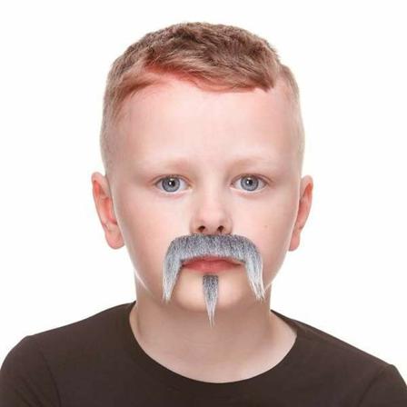 Mustasch och getskägg My Other Me Grå