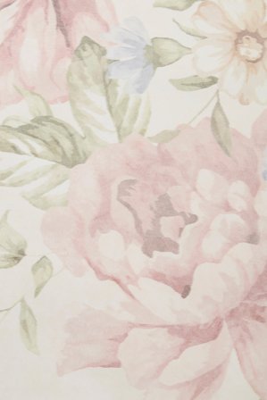 Newbie | Tapet – Mural | Beige