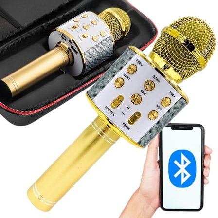 Trådlös mikrofon bluetooth karaoke högtalare rund med fodral olika lägen