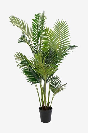 House Nordic - Krukväxt Areca, konstgjord, H175 cm - Grön - Konstgjorda växter & plastblommor - Från Homeroom