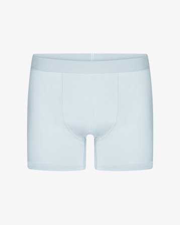 Classic Organic Boxer Briefs - Polar Blue - Male - XL