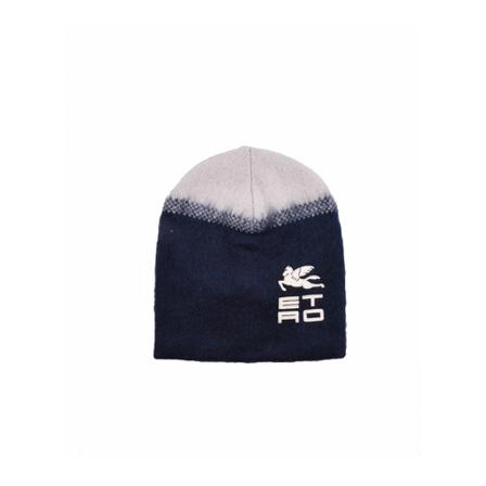Etro, Beanies Blauw, Heren, Maat:ONE Size