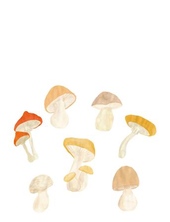 Forest Mushrooms Home Kids Decor Wall Stickers Nature Gul That's Mine