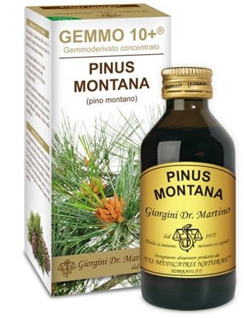 Pinus Montana Gemmoderivato Concentrato 100ml