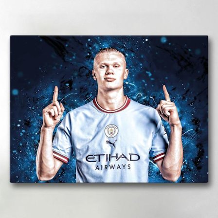 Lerretsbilde / Bilde - Haaland - 40x30 cm - Lerret