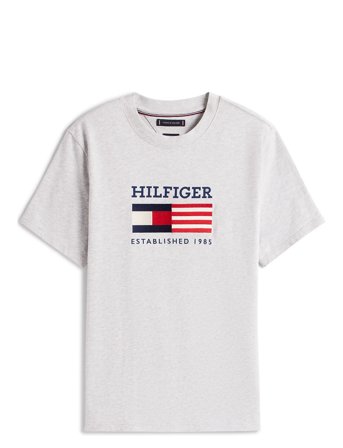 Americana Monotype Flag Box Tee Tops T-Kortærmet Skjorte Grey Tommy Hilfiger