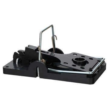 SLAGFELLE SNAP-E ROTTE