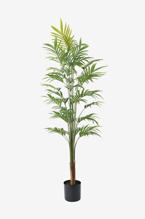Present Time - Kunstig plante Gold Palm Tree large - Grønn - Kunstige planter - Fra Homeroom