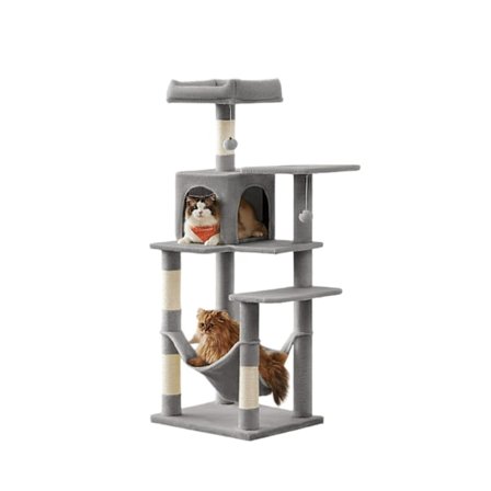 Rootz -kissan naarmunta