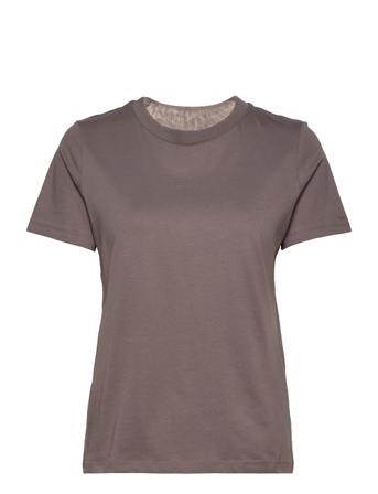 Micro Logo Regular T-Shirt Brown Calvin Klein