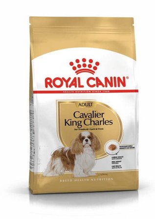 Royal Canin Crocchette Per Cani Cavalier King Charles Adulti