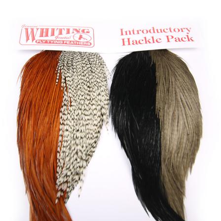 Whiting Introductory Hackle Pack