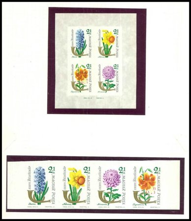 Hele verden - 2 springbind