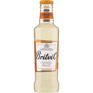 GINGER BEER BRITVIC 20 CL