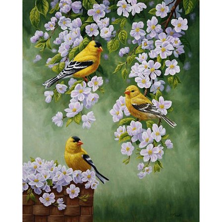 30 x 40 cm, oiseau Peinture au diamant Broderie Diamant Peinture