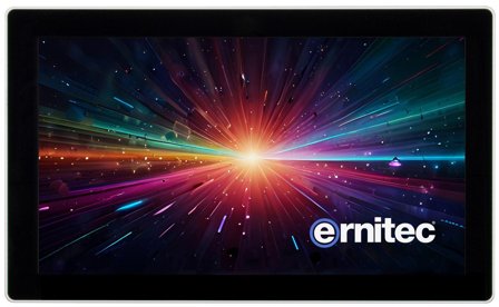 ERNITEC 15" Touch Monitor - IP67/IP22