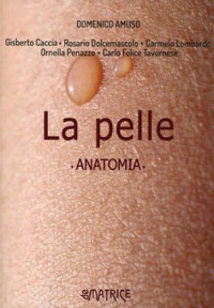La pelle. Anatomia Domenico Amuso