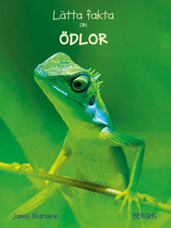 Lätta fakta om ödlor - Bok av James Maclaine - Inbunden