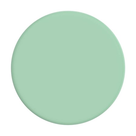 PopSockets Basic Grip Pastell Mint - Nyckelband