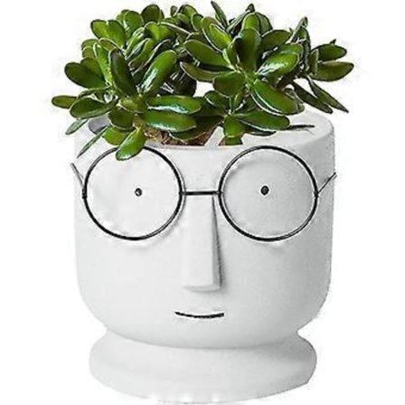 Cratif Lunettes Visage Plantepotter Kaktuspotter For Hjemmekontor Bryllupsdekor, Ansikt Blomsterpotte Plantekasse Sement Blomsterpotter, Liten 