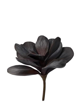 Flora Succulent Home Decoration Paper Flowers Sort Lene Bjerre