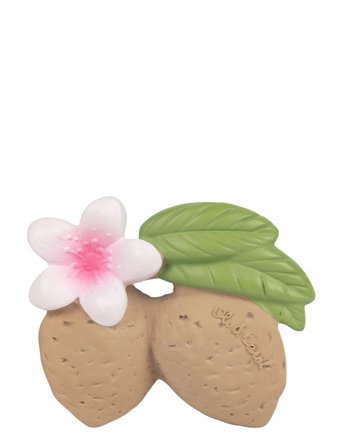 OLI & CAROL | Aly The Almond | 8.8X 7X 3.3CM