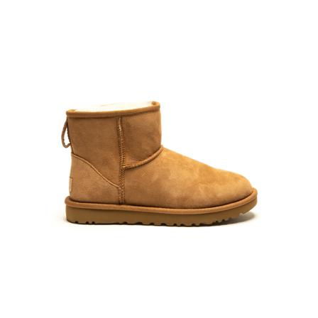 Ugg, Winter Boots Bruin, Dames, Maat:36 EU
