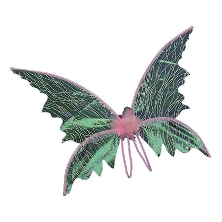 Aikuisten ja tyttöjen siivet 16.9 x 24.4 tuumaa