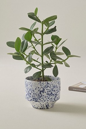 Jotex - Kruka ø 21,5 Cm Vit/blå BELLADONNA - Köp Krukor hos Jotex