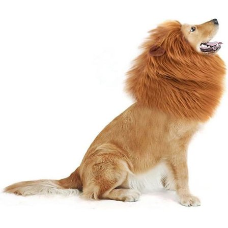 Hundeløvemanke-kostumer til Halloween jul, sjov kæledyrsløvemanke-paryk