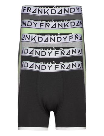 Bo.5P St Paul Boxer Black Frank Dandy