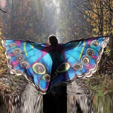 Butterfly Wings Cape Fairy Wings-mantel A A