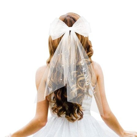 Brud til at være broderet slør, polterabend favoriserer og brude brusebad tilbehør, Bow Veil gave til kvinders forlovelse og bryllup