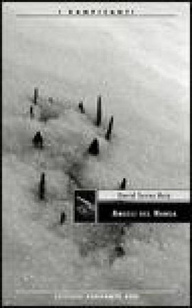 Angeli del Nanga David Torres Ruiz