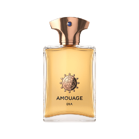 AMOUAGE DIA MAN EDP Herrdoft Herr 100ML