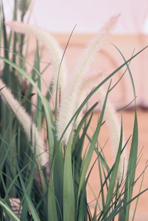 Chic Antique Kunstig Plante Siv/Revehale H52