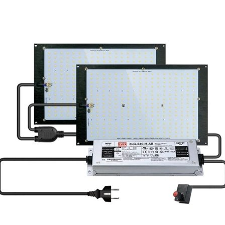 240W Sam-ng LM301h kvantti LED Grow valo lamppu