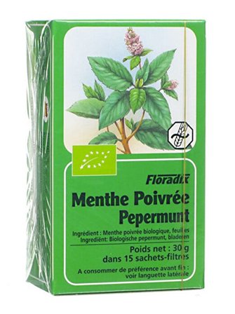 Floradix Menta Piperita Infuso BIo 15 filtri