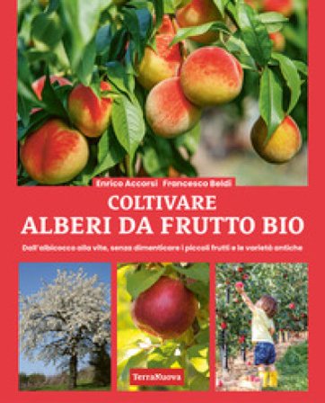 Coltivare alberi da frutto bio. Dall'albicocca alla vite, senza dimenticare i piccoli frutti e le varietà antiche Enrico Accorsi
