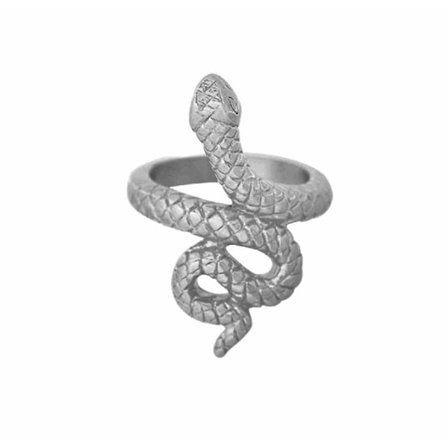 Silver Ring i Rostfritt Stål - Fint Mönstrad Orm / Snake -Stl 16