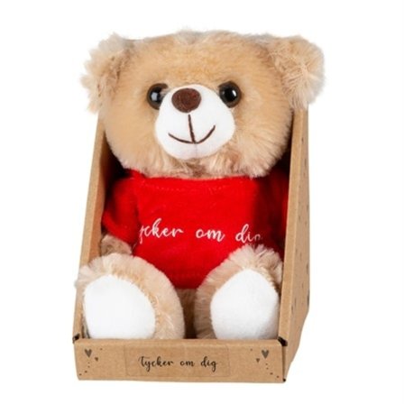 Valentine Teddybjörn Tycker Om Dig
