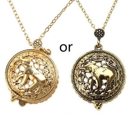 Speciell Design Halsband Förstoringsglas Vintage Kedja Förstoringsglas Halsband Hänge Mormor Gåva Metall Antik Gåva