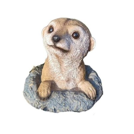Meerkat Ornament Meerkat patsaat Meerkat veistos