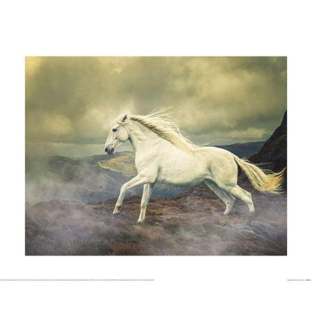 Lisa Saint Race The Storm Poster 60cm X 80cm Vit/brun