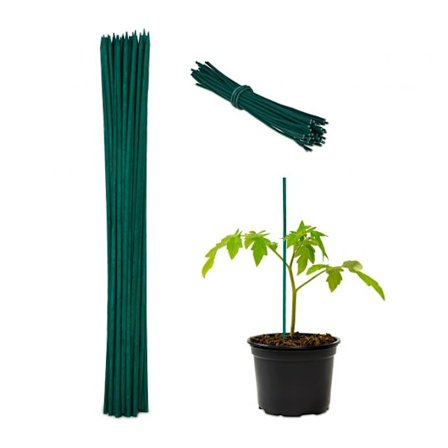 Blompinnar 30 cm i ett set om 50 st