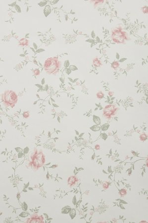 Newbie | Tapet | Hvit