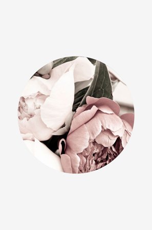 Malerifabrikken - Bilde Opulent 1 - Rosa - Bilder & skilt - Fra Homeroom