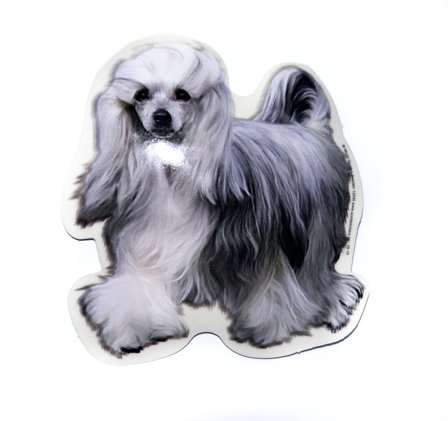 Chinese Crested Powder Puff - klistremerker