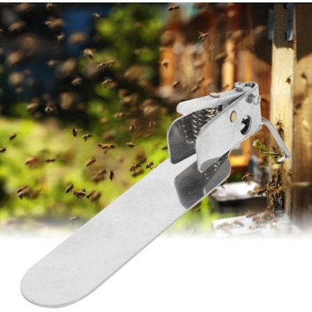 Enkel Queen Bee ympningsnål för biodlare[D]